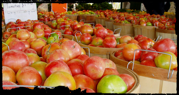Fresh fruit available at the Farmer's Market