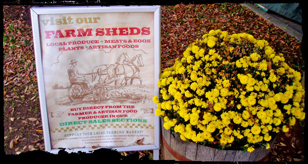 Farm fresh vegetables and fruits available here